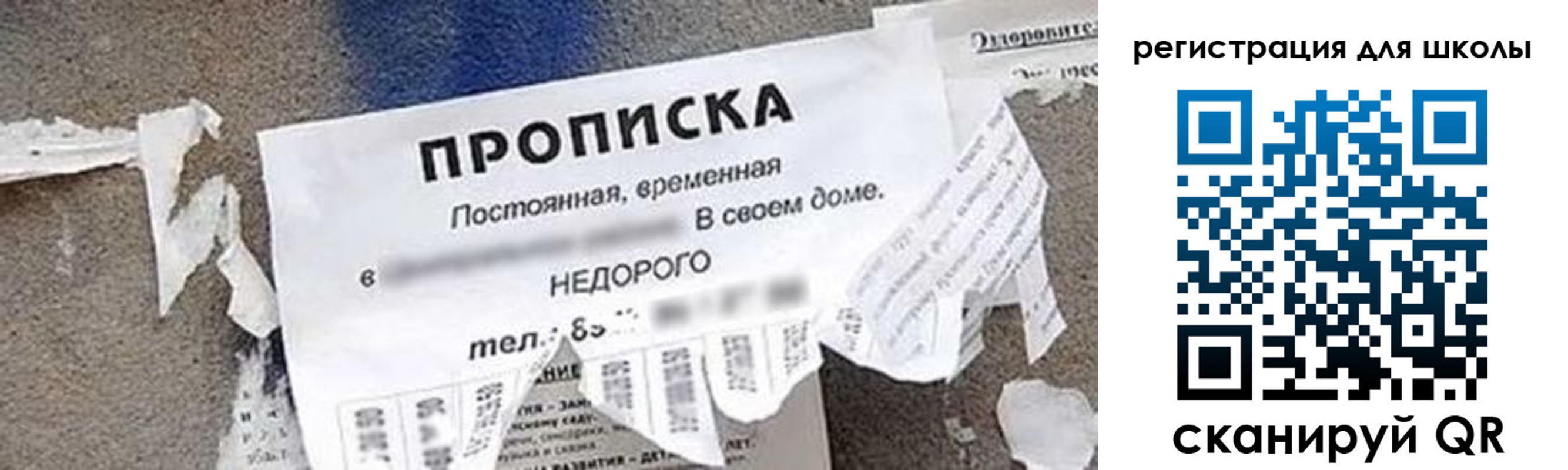 временная регистрация поиск в Лесном